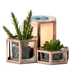 Scentsy Wild Desert Wax Warmer New in Box